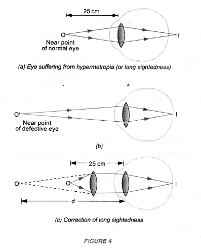 NCERT Solutions for Class 10 Science Chapter 11 Human Eye and Colourful World 5